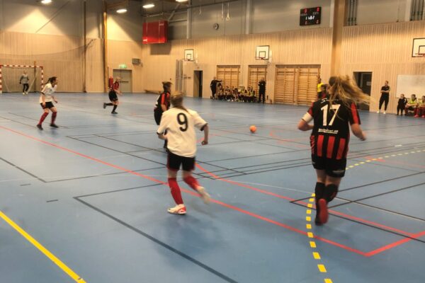 ENV FF Futsal 1