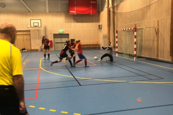 ENV FF Futsal 12