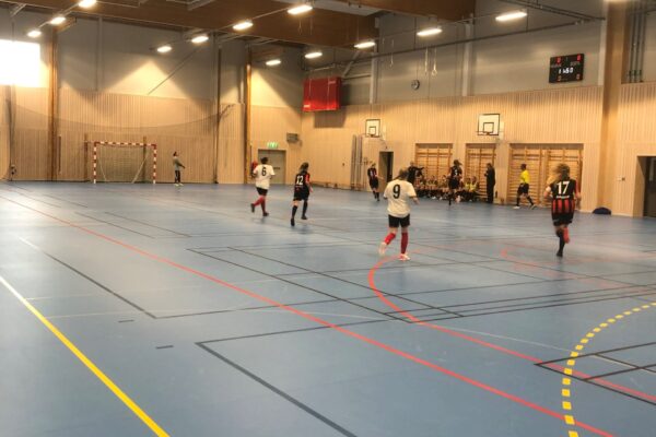 ENV FF Futsal 2