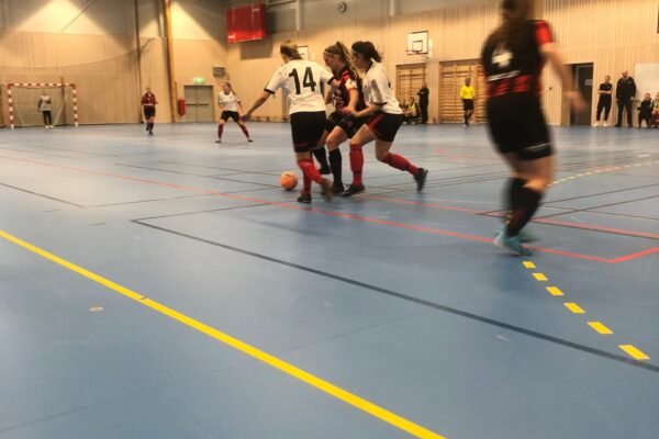 ENV FF Futsal 5